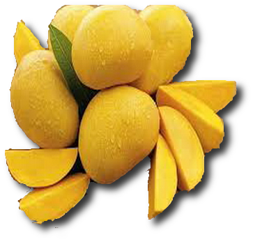 Mango Pulp and Dices 